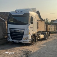 DAF , 2019