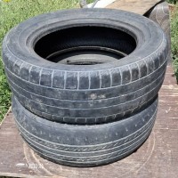 2-штук..2000сом...сост.средний...РАЗНОПАР.